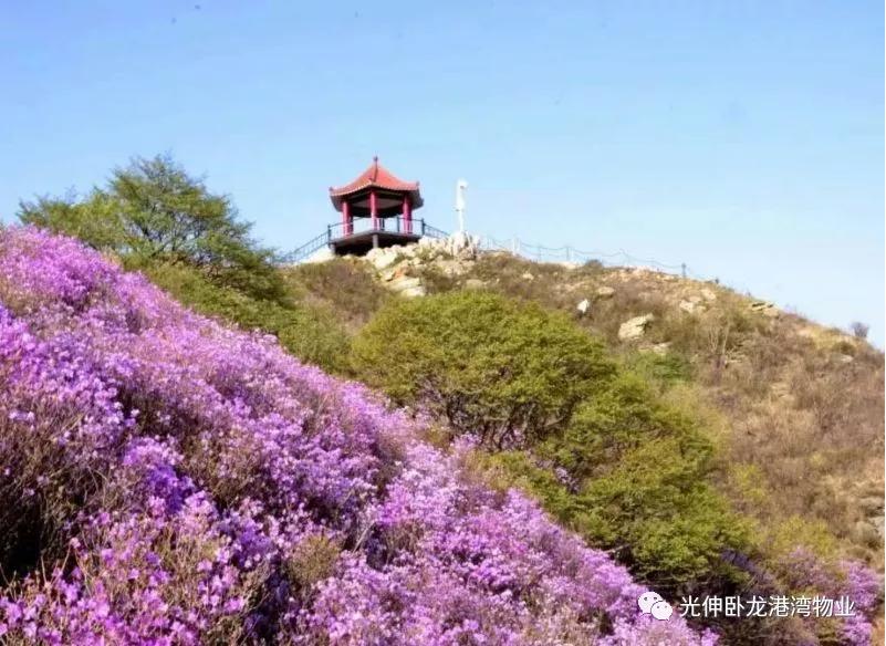 首页-人生就是博(官网)